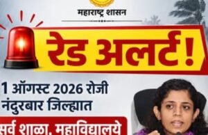रेड अलर्टच्या पार्श्वभूमीवर १ ऑगस्ट रोजी नंदुरबार जिल्ह्यातील सर्व शाळा, महाविद्यालये व अंगणवाड्यांना सुट्टी