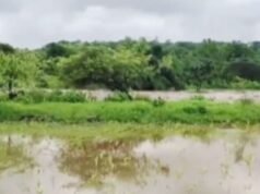 लघु पाटबंधारे योजना खडकुना धरण व पाणलोट क्षेत्रात मोठ्या प्रमाणात पाऊस, नदीकाठावरील ग्रामस्थांना प्रशासनातर्फे सतर्कतेचा इशारा