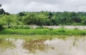 लघु पाटबंधारे योजना खडकुना धरण व पाणलोट क्षेत्रात मोठ्या प्रमाणात पाऊस, नदीकाठावरील ग्रामस्थांना प्रशासनातर्फे सतर्कतेचा इशारा